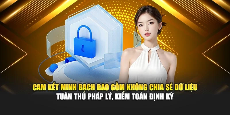 Cam kết minh bạch bao gồm không chia sẻ dữ liệu tuân thủ pháp lý, kiểm toán định kỳ