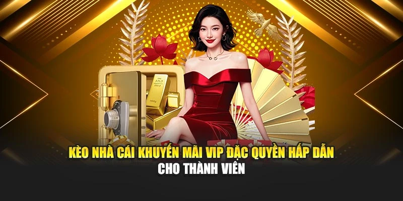 Kèo Nhà Cái khuyến mãi VIP