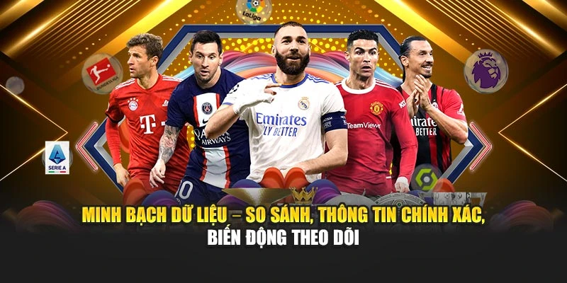 Minh bạch dữ liệu – So sánh, thông tin chính xác, biến động theo dõi