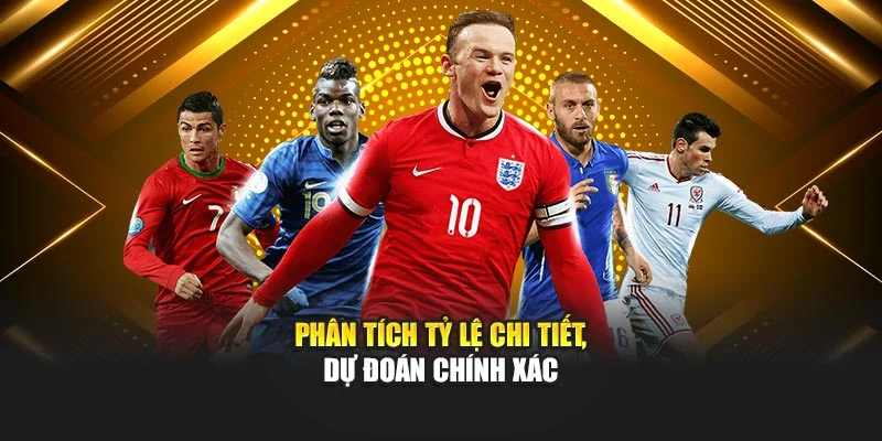 Phân tích tỷ lệ chi tiết, dự đoán chính xác